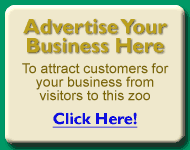 Advertise your business on Zoos-UK.com